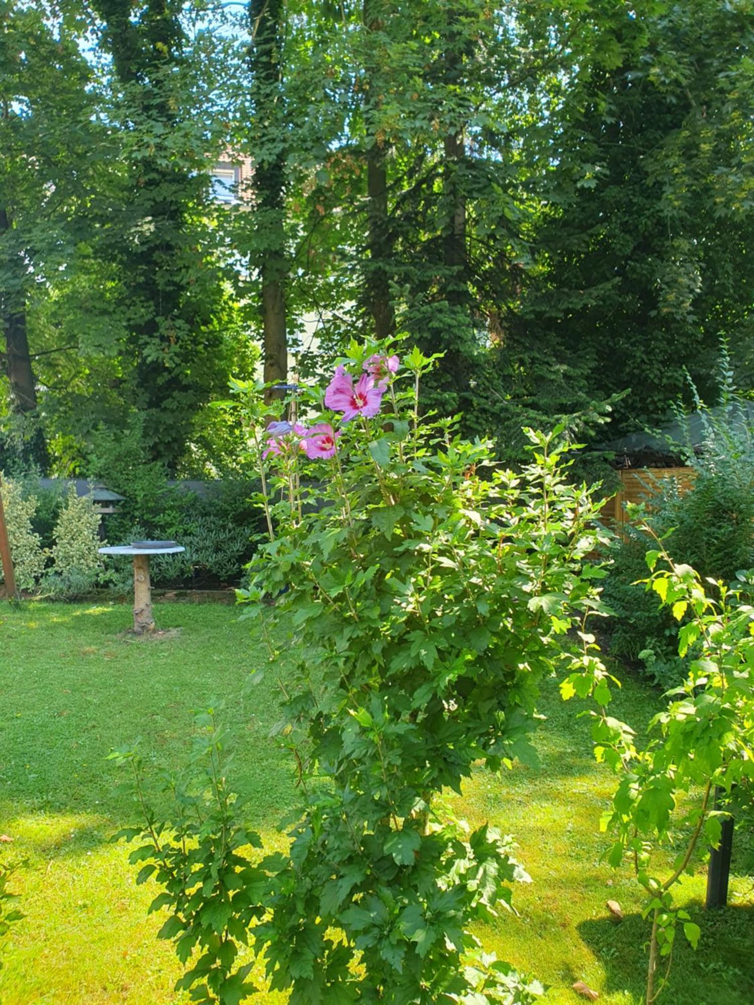 Appartement In Gelsenkirchen Kültér fotó
